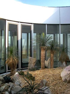 Subtropical plants planting in atrium of a penthouse with cacti, camelia and yucca rostrata - buy online europe wide. exterior_greening_atrium_penthouse_plants_buy