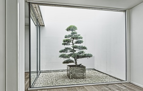 Bonsai planting in atrium - Switzerland - Buy Bonsai online Europe wide ! /interior_planting_greening_atrium_switzerland_bonsai