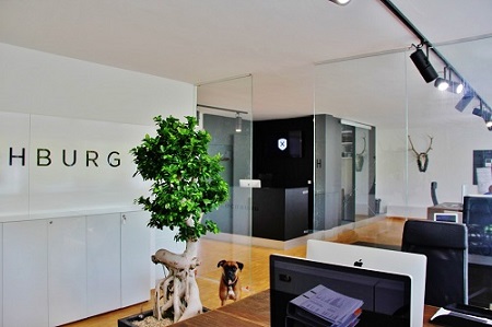 Ficus bonsai greening in office - delivered already planted ficus bonsai office greening buy online shop