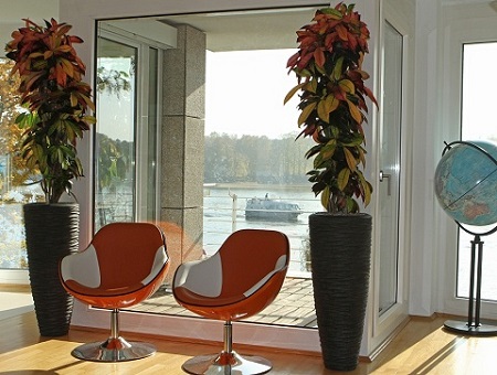 Greening office - buy online plants europewide ! office_greening_croton_anthracite_pot_berlin