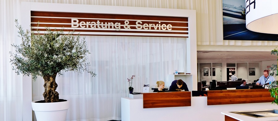 Olive tree in open office - Reception greening - Car showroom olive tree office reception greening online