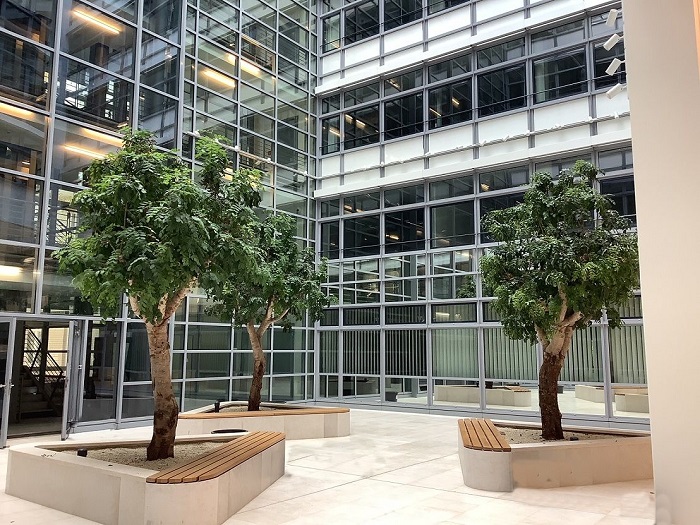 Greening cold atrium interior trees plants