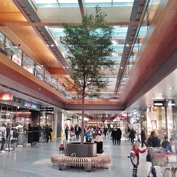 Tree shopping mall buy plants vorarlberg