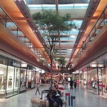 bucida tree shopping mall Austria buy