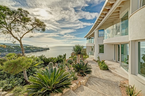 Mediterranean trees and plants for island like Mallorca - buy online Mallorca garden mediterranean planting greening trees buy online