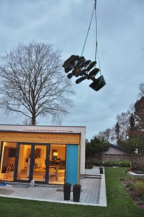 Pinus Garden Bonsai planting Denmark buying online europe wide. Pinus_parviflora_bonsai_denmark_buy_online