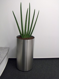 Plants interior for conference and meeting room - buy online europe wide. interior_planting_conference_plants_planters_buy