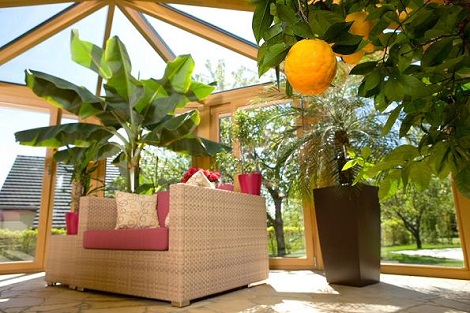 conservatory/wintergarden_greening_luxembourg_tropical_plants_buy