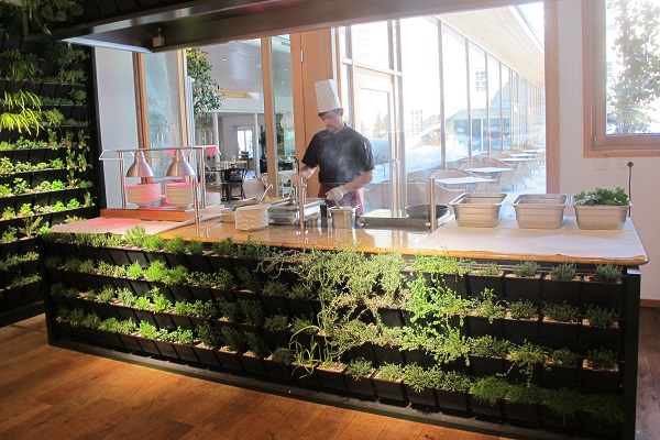 Greenwall herbaceous hotel buy online