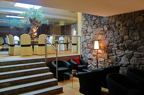 interior greening olive tree meran italy winery