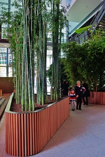 Bamboo-tropical-greening-conference-hall-buy-online