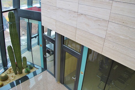 indoor_landscaping_big_column_cactus_cereus_company