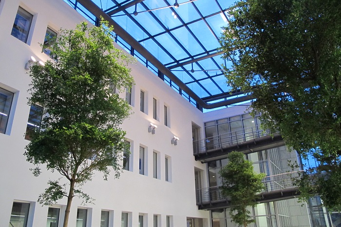 big hall greenings with tropical plants