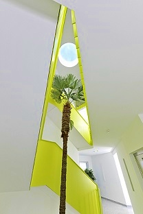 Palmera interior plantado en una compania - compra interior trachicarpus-planta-interior-escaleras-compra-online