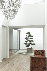 Atrio-plantas-interior