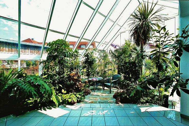 plantas_interior_invernadero_hoteles_villa_privados_comprar_on-line