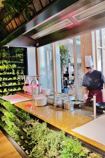 verde planta vertical hotel cocina herbacea
