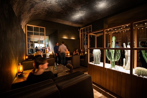 Cactus interior en hoteles y gastronomias - Compra online cactus-interior-restaurante-plantar-comprar-online