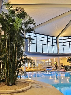 areca dypsis palmera para Pools bano termal y piscinas interior