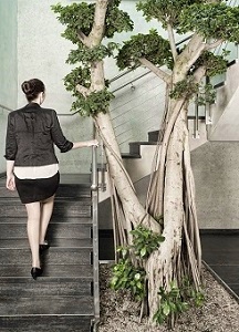 Innenraumbegrünung Treppe Eingang Flur