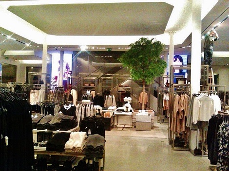 ZARA Modehaus Madrid Raumbegrünung mit Bucida buceras - Online begrünen und kaufen /bucida-tropischer_Baum_innenbegruenung-zara-modehaus_madrid_online_kaufen
