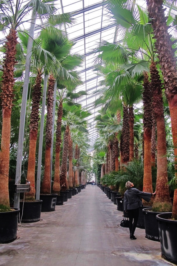 glasshouse for aclimating tropical plants