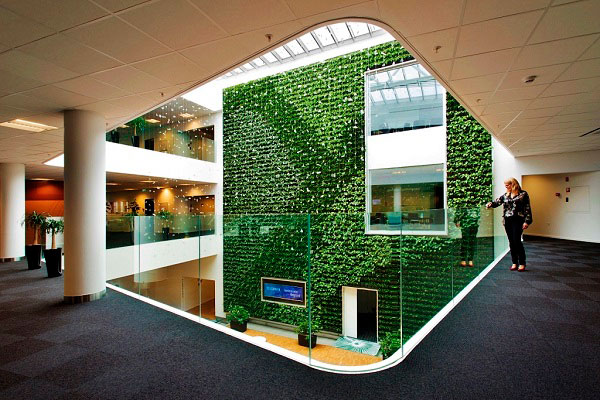 Grüne tropische Pflanzenwand