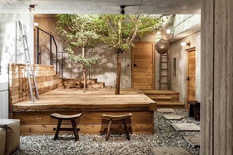 Bucida Baum Hotel Innenraumbegruenung Pflanzen Salzburger Land