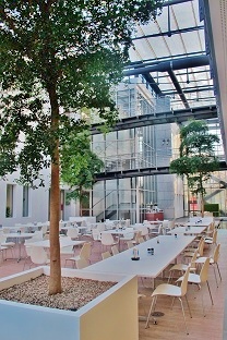 hotel_gastronomie/bucida-gastronomie-pflanzen-kaufen