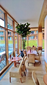 Ficus lyrata hochstamm restaurant pflanze kaufen