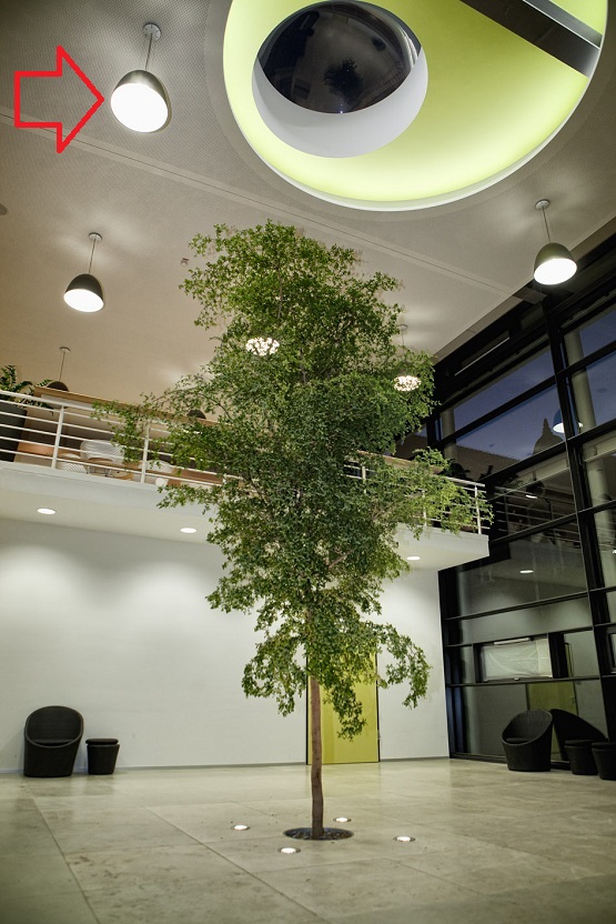 pflanzenlicht grosspflanzen innenraum botanic international com