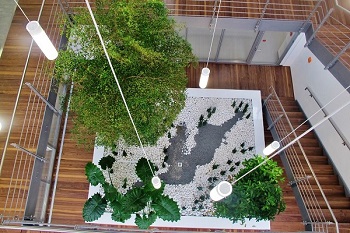 CREATION DE ESPACES VERTS DANS UN ATRIUM