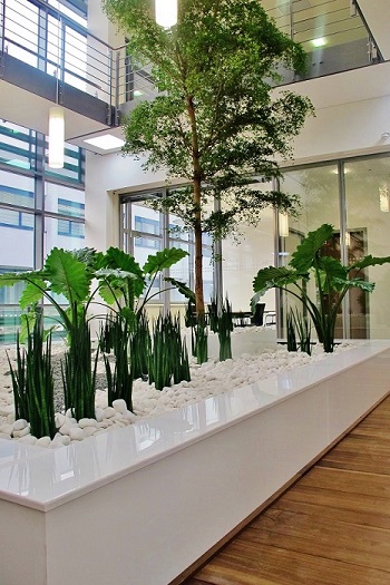 atrium plantes bassins verts interieur