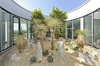 Plantes tropical atrium exterieur - acheter en ligne plante_tropical_atrium_exterieur_acheter_en-ligne