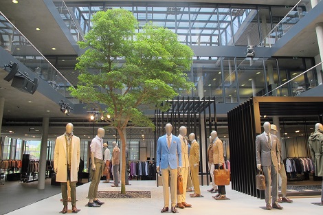 bucida-tropical-arbre-boutique-de-mode-acheter