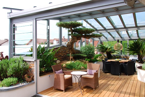 Jardin de hiver avec olivier horizontalis acheter en ligne jardin_de_hiver_avec_olivier_macrobonsai_acheter-en-ligne