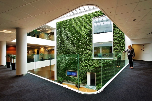 mur_vegetal_vertical_tropical_planifier_installer_planter_interieur_en_ligne