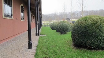 Creation_de_espaces_verts_pour_le_haras_se_composant_de_plante